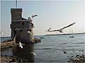 Rapallo